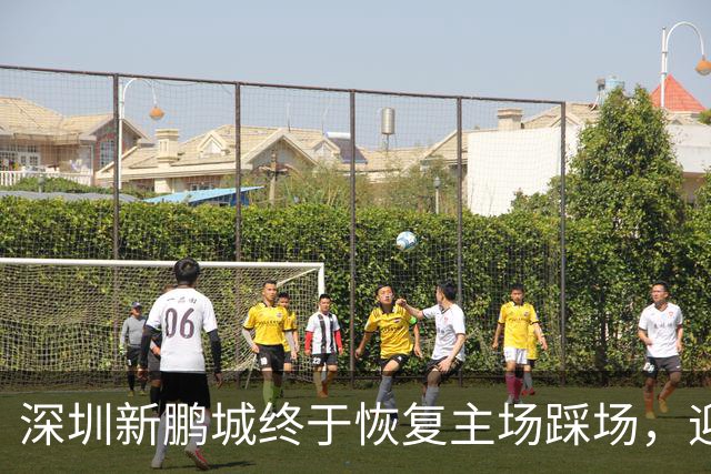 深圳新鹏城终于恢复主场踩场，迎战青岛海牛的信心大增！