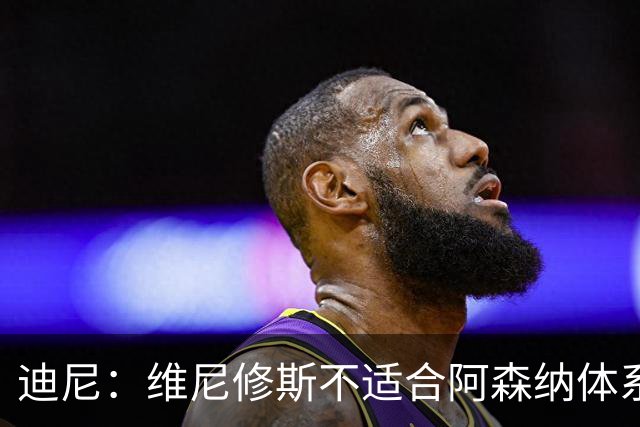 迪尼：维尼修斯不适合阿森纳体系，他的性格也不适合塔帅的风格